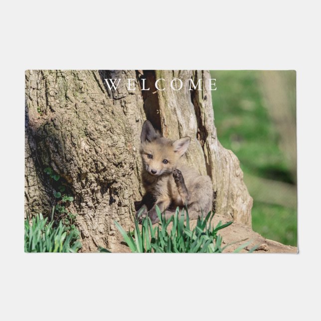 Fox Kit in the Hudson Valley Doormat (Front)