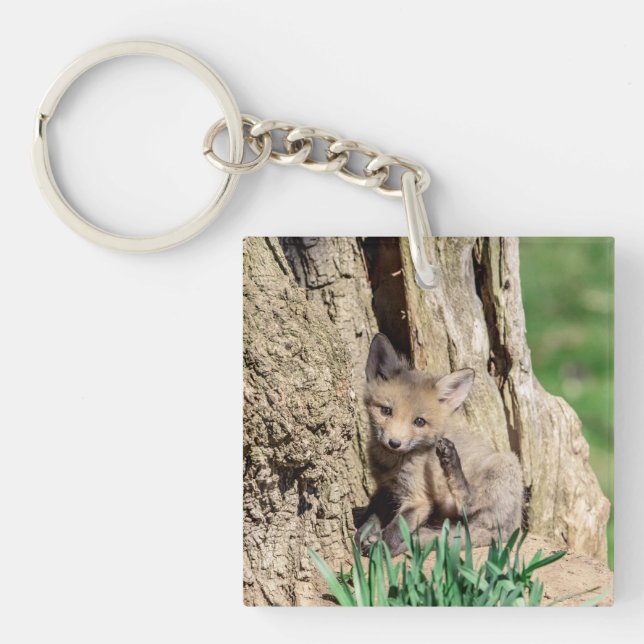 Fox Kit in the Hudson Valley Key Ring (Front)