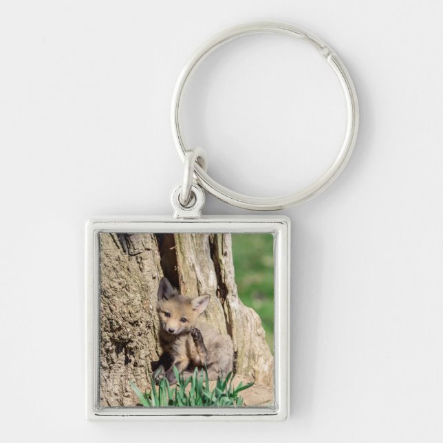 Fox Kit in the Hudson Valley Key Ring (Front)