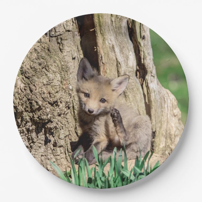 Fox Kit in the Hudson Valley Paper Plate (Front)