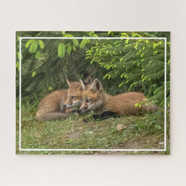  Fox Kit Pals  Jigsaw Puzzle (Horizontal)