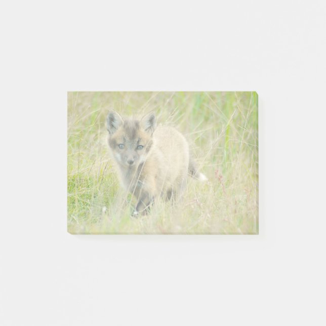 Fox Kit Post-it® Notes 4 x 3 (Front)