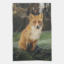 fox kitchen towel, foxy tea towel, fox cub home de