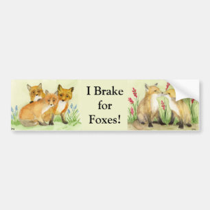 Fox Kits Bumper Sticker