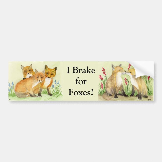 Fox Kits Bumper Sticker (Front)