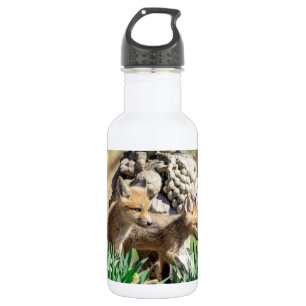 Fox Kits in the Hudson Valley 532 Ml Water Bottle