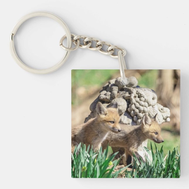 Fox Kits in the Hudson Valley Key Ring (Front)
