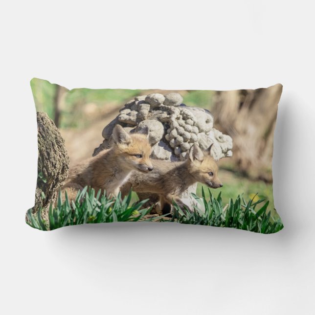 Fox Kits in the Hudson Valley Lumbar Cushion (Front)