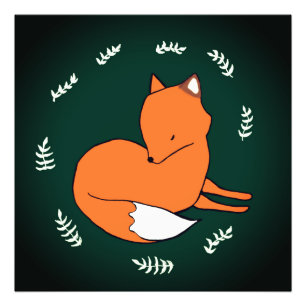 Fox Kodak Professional Photo Paper (Satin)