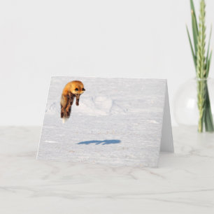 Fox Leap   Yukon, Canada Card