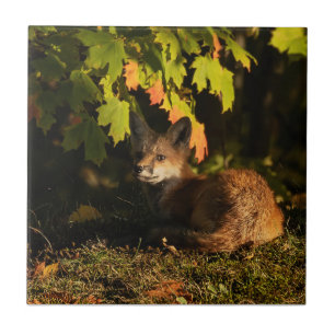  Fox Leaves and Shadows       Ceramic Tile