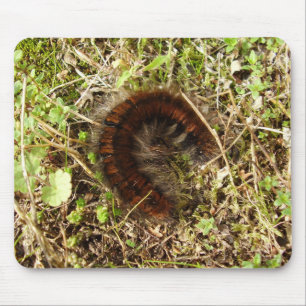 Fox Moth Caterpillar Mouse Mat
