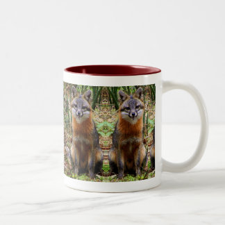 FOX MUG