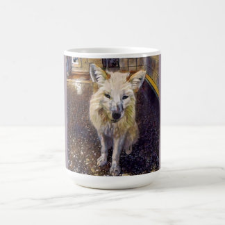 Fox Mug - Maks