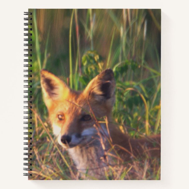 Fox Notebook (Front)