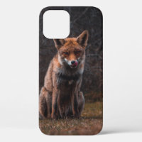 FOX ON GRASS FIELD