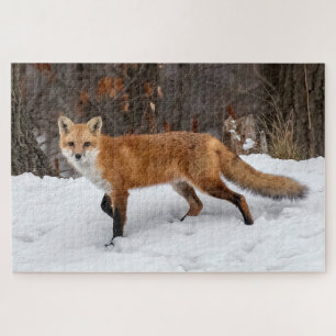 Fox On Snow Jigsaw Puzzle