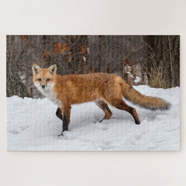  Fox On Snow      Jigsaw Puzzle (Horizontal)