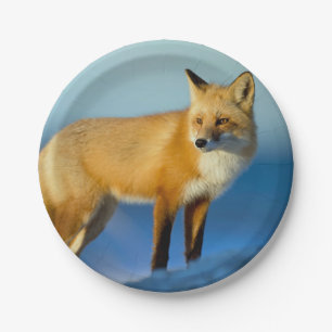 Fox Paper Plate