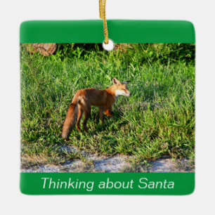 Fox Photo Ornament