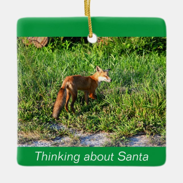Fox Photo Ornament  (Front)
