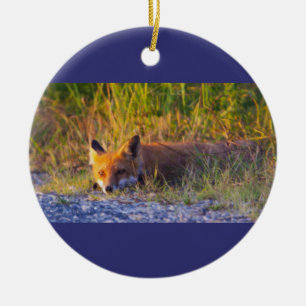 Fox Photo Ornament