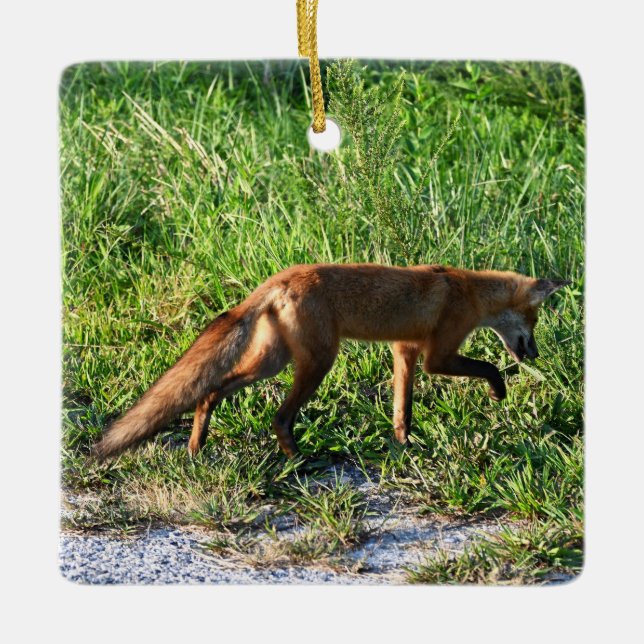 Fox Photo Ornament  (Front)