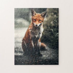 FOX PHOTOGRAPHY JIGSAW PUZZLE
