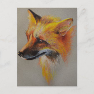 Fox Portrait Postcard