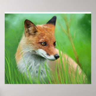 Fox - Poster