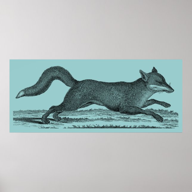 Fox Poster (Front)