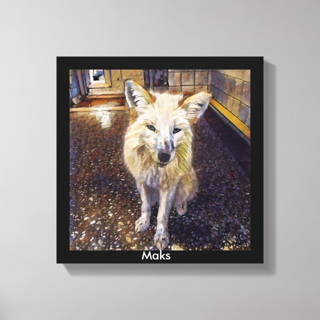 FOx Print - Maks (Front)