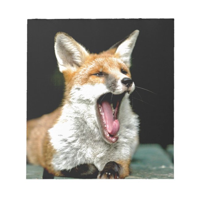 Fox - pro photo notepad (Front)