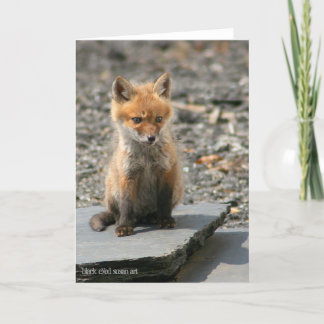Fox Pup Card