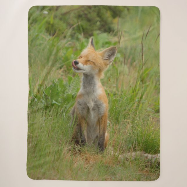 FOX PUP SHERPA BLANKET (Front)