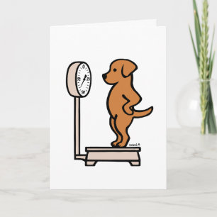 Fox Red Labrador on the Scale Card