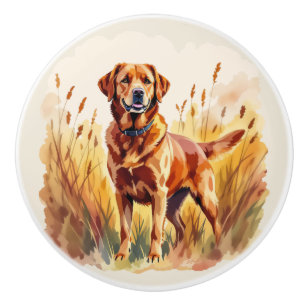 Fox Red Labrador Retriever Dog Ceramic Knob