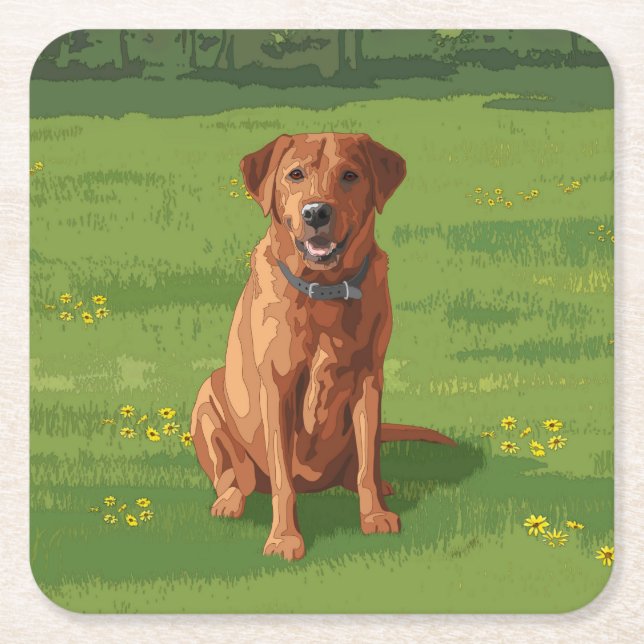 Fox Red Yellow Labrador Retriever Dog Square Paper Coaster (Front)
