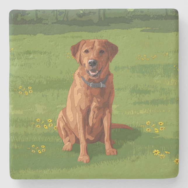 Fox Red Yellow Labrador Retriever Dog Stone Coaster (Front)