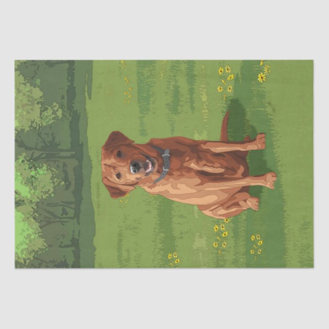 Fox Red Yellow Labrador Retriever Dog Tissue Paper (Front)