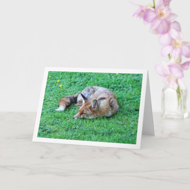 Fox Sleeping on Grass Card (Orchid)