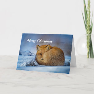 Fox Sleeping Snow Photo Holiday Card