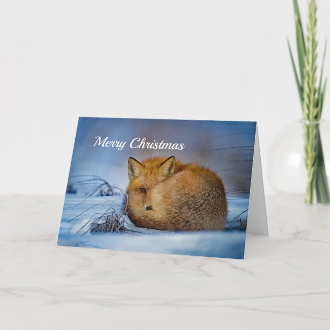 Fox Sleeping Snow Photo Holiday Card (Front)