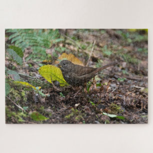 Fox Sparrow Jigsaw Puzzle