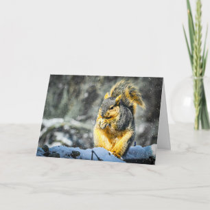 Fox Squirrel Christmas Card