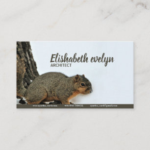 Fox Squirrel On Snowy Tree Business Card