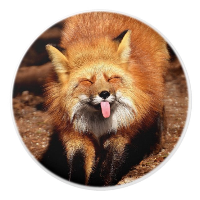 Fox Sticking It's Tongue Out Ceramic Knob (Front)