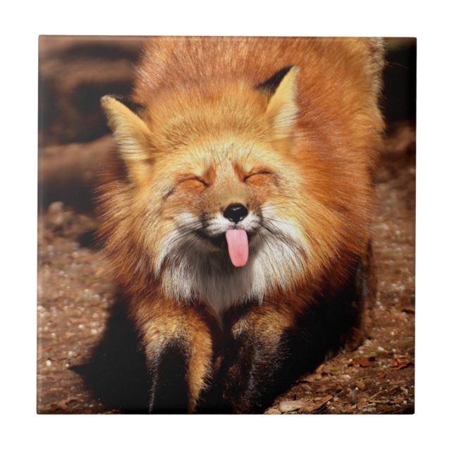 Fox Sticking It's Tongue Out Ceramic Tile (Front)