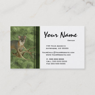 Fox Taxidermy Business Cards ~ Green