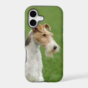Fox terrier